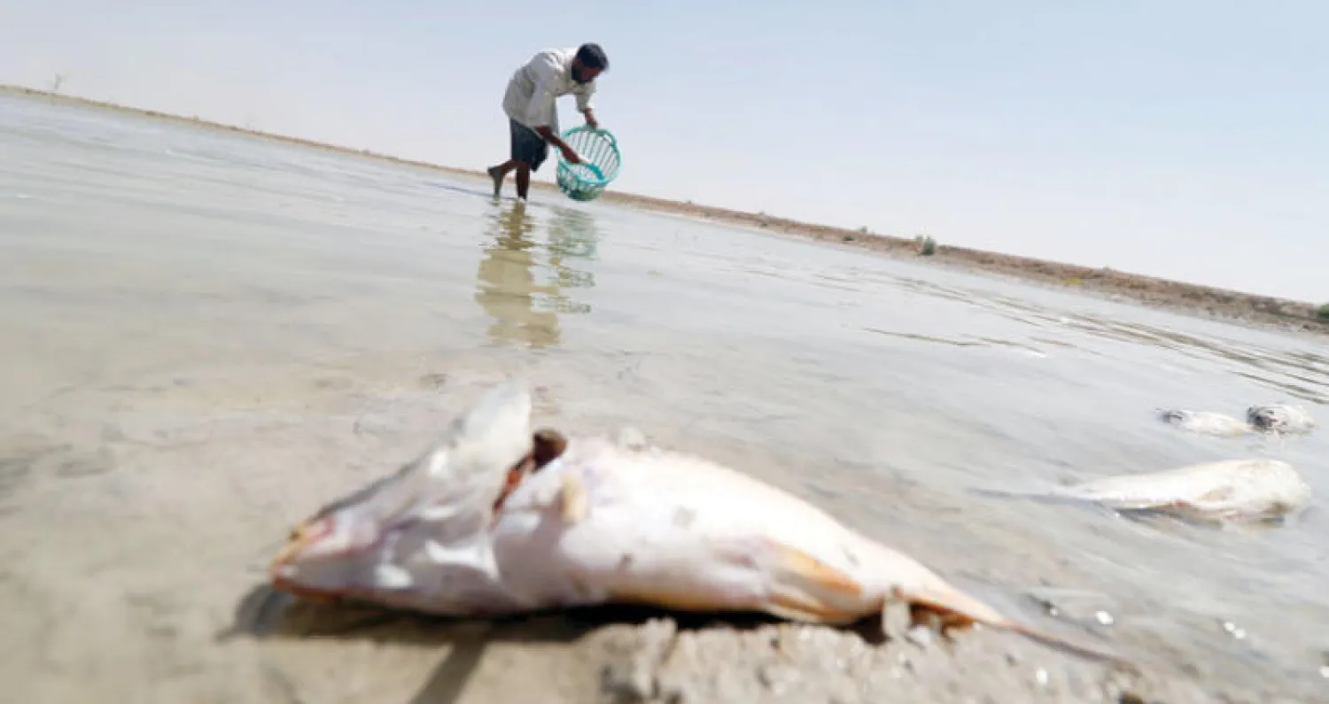 صيف مالح وقاسٍ في البصرة: خطر التسمم يعود وشط العرب يقترب من نصف ملوحة البحر