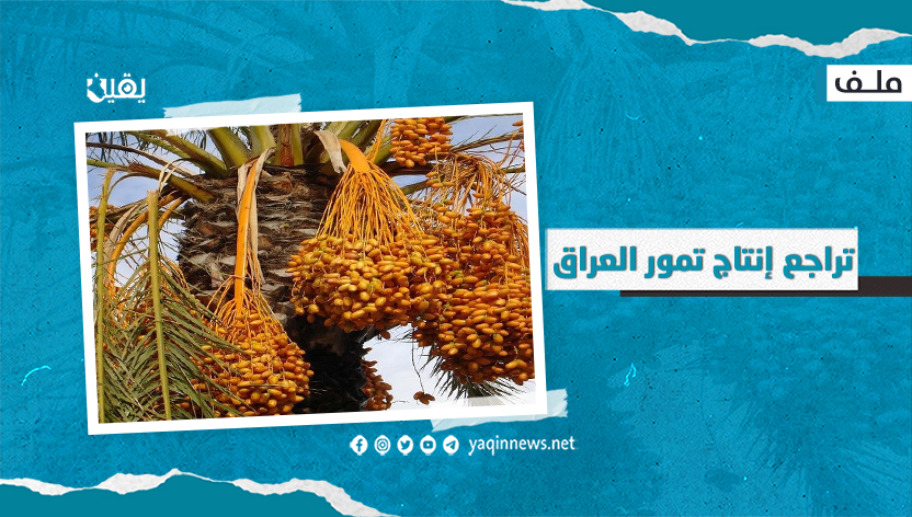 تراجع التمور في العراق (ملف)